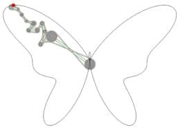 Butterfly drawing mechanism
