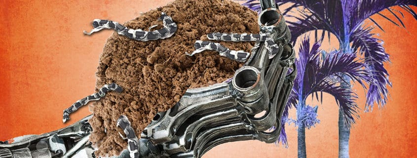 Soils with robot worms